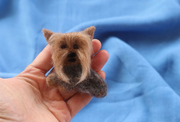 Brosa `Yorky`