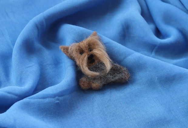 Brosa `Yorky`