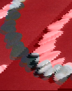 Sidef alb inimioara aprox 2.5x10x10 mm