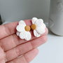 Cercei Daisy