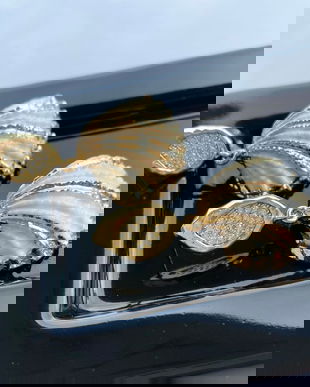 Cercei cu scoici naturale