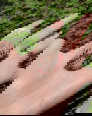 Inel Agata root plume si Argint 925 - IN1390 - Inel pietre semipretioase, inel patrat reglabil, inel statement, cadou sotie, inel cadou, bijuterii cadou, bijuterii agate, cristale vindecatoare, cristaloterapie, cristale de colectie