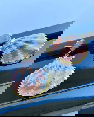 Cercei cu scoici si perle naturale