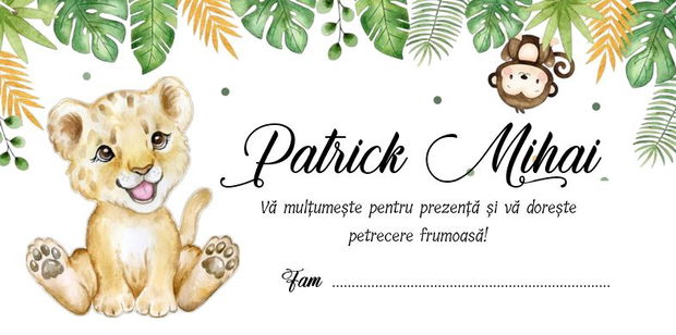 Plicuri bani botez