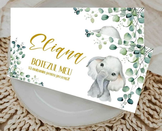 Plicuri bani botez