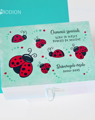 Cutie bijuterii buburuze pictata manual personalizata cu mesaj