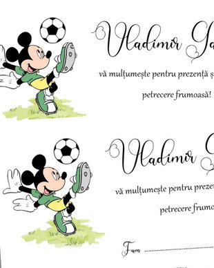 Plicuri bani botez Mickey mouse