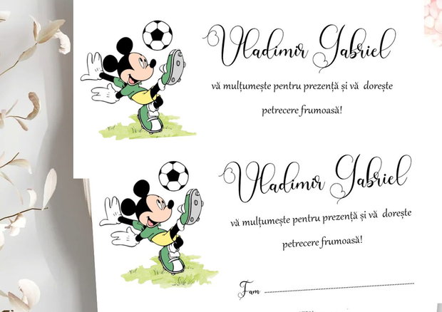 Plicuri bani botez Mickey mouse