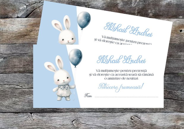 Plicuri bani botez Mickey mouse
