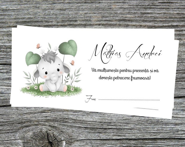 Plicuri bani botez Mickey mouse