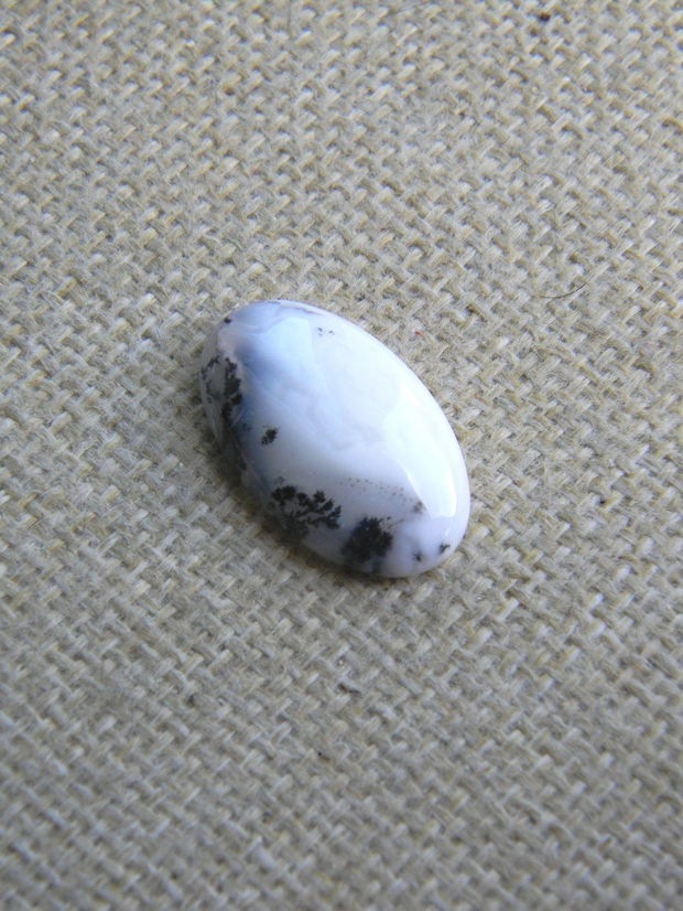Caboson opal dendritic (F39-1)