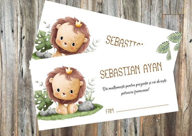 Plicuri bani botez Stitch