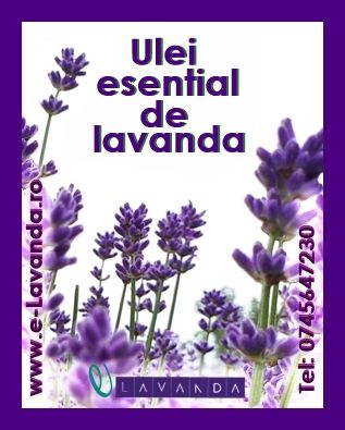 Ulei esential de lavanda, 10 ml