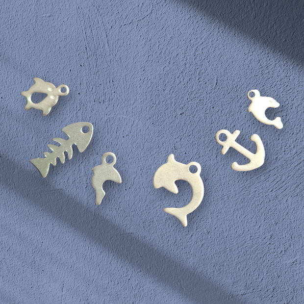 Lot charmuri marine inox (6buc)  IN.6014