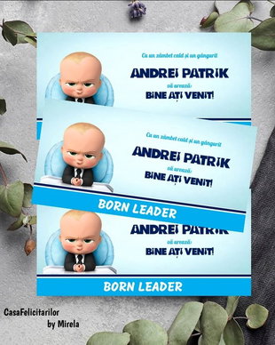 Plicuri bani Baby boss