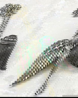 Brosa inger & pandantiv paua shell