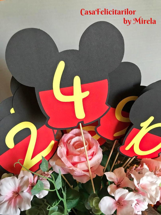 Numere de masa Mickey mouse