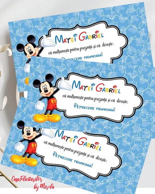 Plicicuri bani botez Mickey mouse