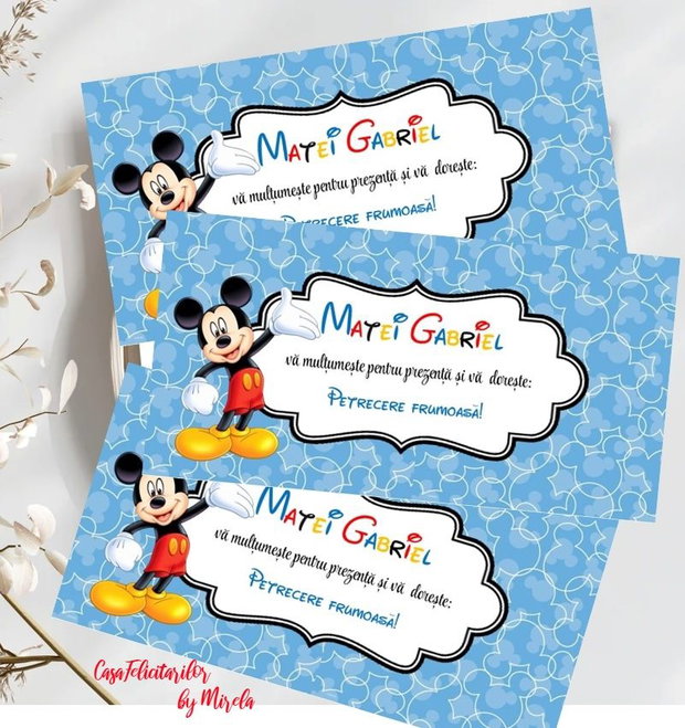 Plicicuri bani botez Mickey mouse