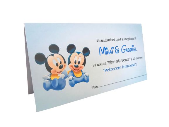 Plicuri bani botez gemeni baby Mickey mouse