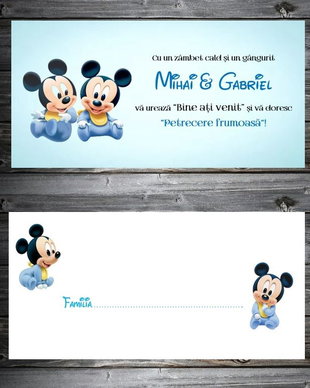Plicuri bani botez gemeni baby Mickey mouse
