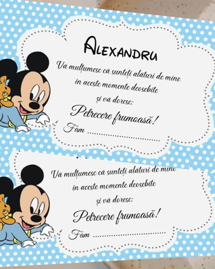 Plicuri bani botez baby Mickey mouse