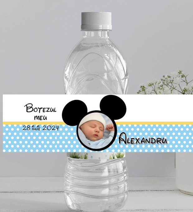 Stickere Mickey mouse