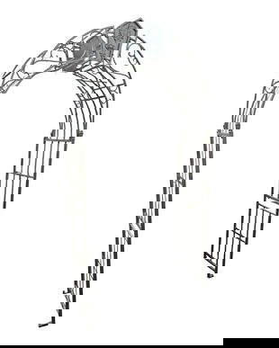 Arcada pentru trandafiri din fier forjat