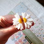 Cercei Daisy