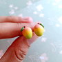 Cercei Mango