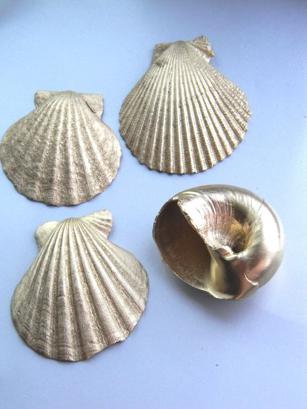 Scoici/melci - 4 buc. (FSCO-2-3)