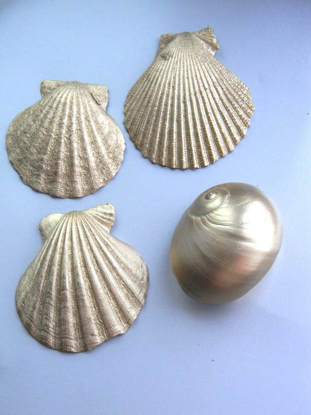 Scoici/melci - 4 buc. (FSCO-2-3)