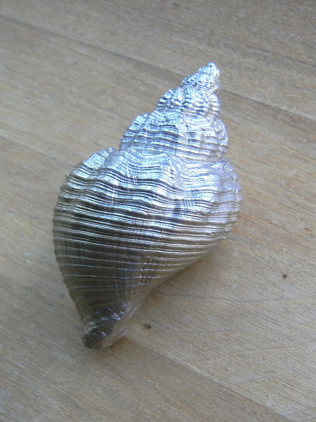 Scoici/melci (FSCO-2)