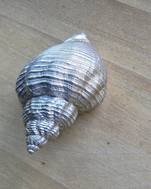 Scoici/melci (FSCO-2)
