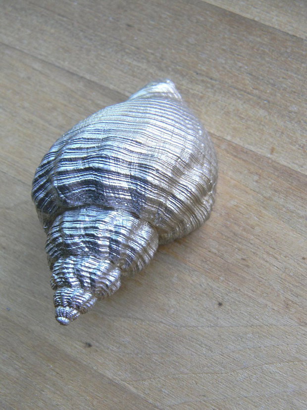 Scoici/melci (FSCO-2)