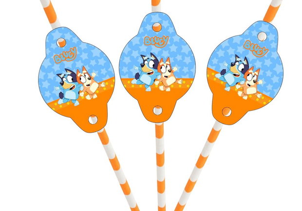 Toppere Bluey personalizate