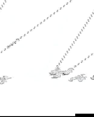 Michael Kors colier si cercei din argint MKC1767SET