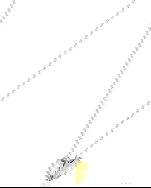 Tous colier de argint 1004099000