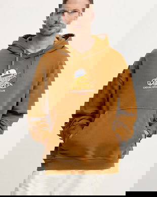 adidas Originals hanorac de bumbac Graphic Lo Hd culoarea maro, cu glugă, cu imprimeu, JW0167