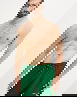 Hummel pantaloni scurți de baie hmlNED SWIM SHORTS culoarea verde, 227641