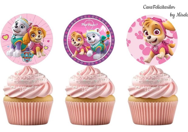 Set toppere tort Paw Patrol