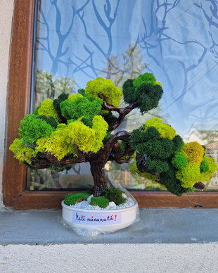 Bonsai cu mesaj