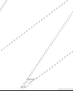 Tous colier NEW SILUETA 1004439100