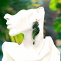 Rezervat Cercei - Emerald Tropic