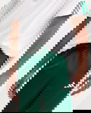 adidas pantaloni scurți Tiro culoarea verde, JN2572