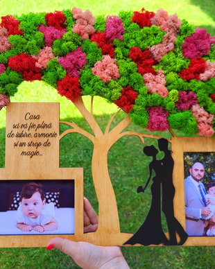 Cadou personalizat nasi cu licheni si poze