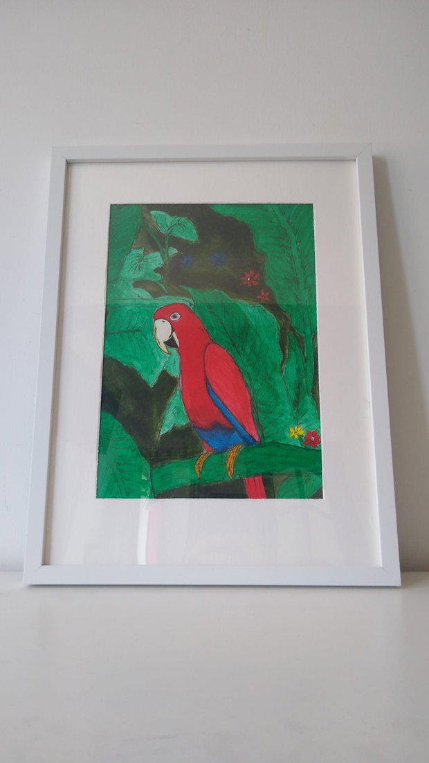 Pictura "Papagal exotic" cu acrilic si marker pe hartie cartonata