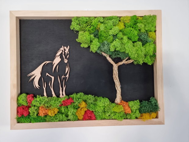 Ramă Foto Copacul cu Cal Decor cu Licheni Naturali, 42.5X32.5 cm