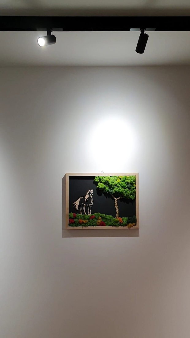 Ramă Foto Copacul cu Cal Decor cu Licheni Naturali, 42.5X32.5 cm