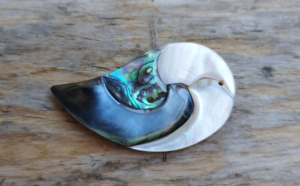 Pandantiv paua abalone, 58x33x5 mm
